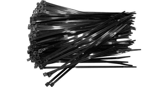 Kabelbinder Polyamid innenverzahnt 102x2,5 mm Pack=100 St., schwarz
