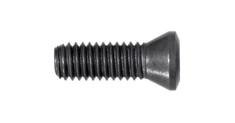 Klemmschraube M2,5 x 5,5  TORX® 8