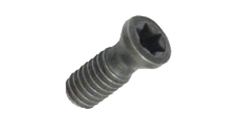 LIZZARD Spannschraube Spannpratze 02STX2506