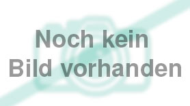 Winkelschleifer